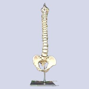 COLUMNA MEDIANA COL-MED