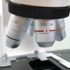 MICROSCOPIO BINOCULAR VE-B1 - Imagen 2