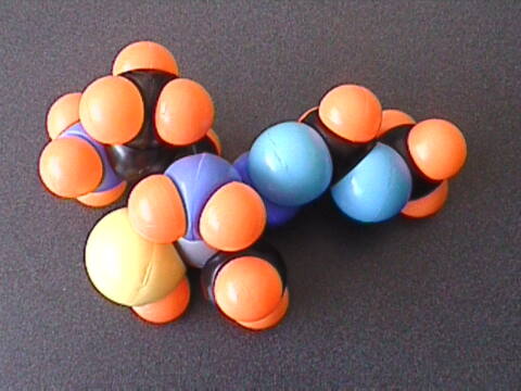 Moléculas (MOL-TUB) - Imagen 3