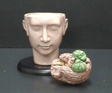 Cabeza con cerebro (CAB-GIG)
