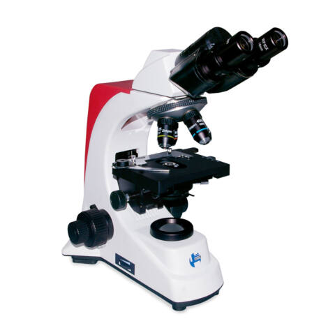 MICROSCOPIO BINOCULAR BIOLOGICO