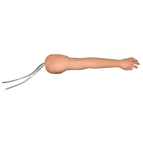 Brazo entrenador para inyección intravenosa - Imagen 2