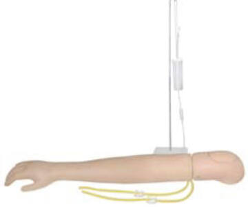 Brazo de entrenamiento para inyección intravenosa y del deltoides