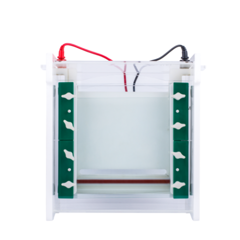 Sistema rápido de electroforesis vertical SSR. Modelo CS-SCZ6 - Imagen 3