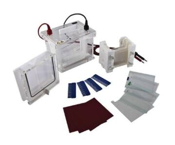 Cámara de electroforesis "Mini-protean". Modelo CS-SCZ4+