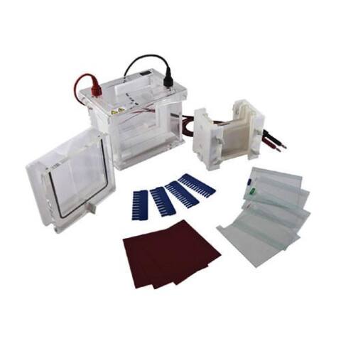 Cámara de electroforesis "Mini-protean". Modelo CS-SCZ4+