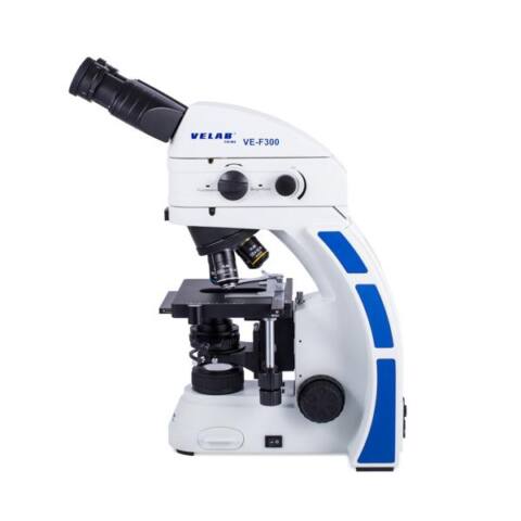 Microscopio de epifluorescencia. Modelo VE-F300 - Imagen 3