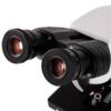 Microscopio binocular biológico. Modelo VE-B300 - Imagen 4