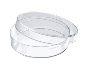 Caja Petri de vidrio 100 x 20 mm
