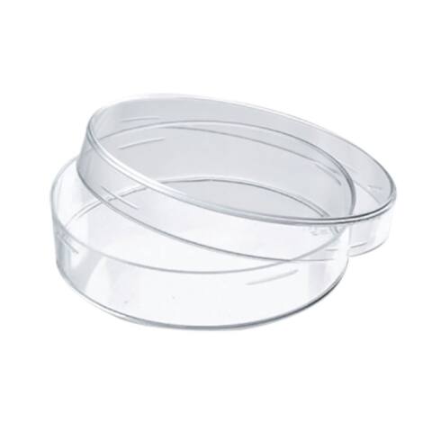 Caja Petri de vidrio 60 x 15 mm