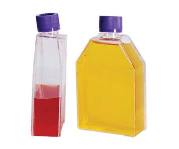 Botellas para cultivo celular (tratadas TC*) estériles de 25 cm2. Tapa con ventilación