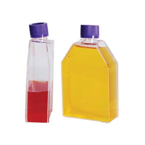 Botellas para cultivo celular (tratadas TC*) estériles de 25 cm2. Tapa sellada