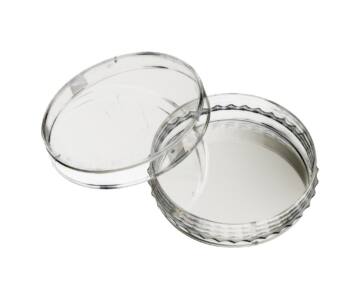 Cajas de cultivo celular 60 X 10 mm