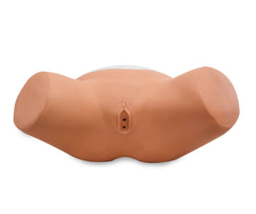 Simulador de cateterización femenino