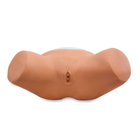 Simulador de cateterización femenino