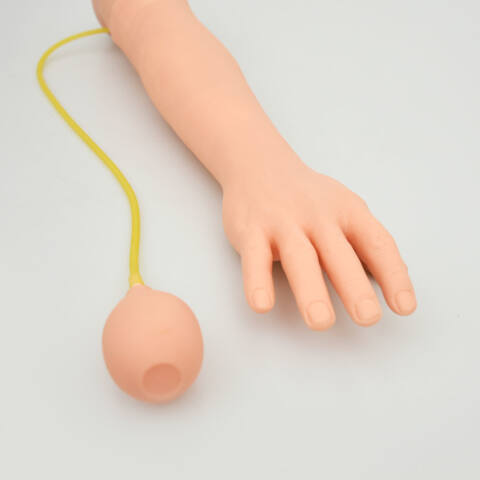BRAZO DE ADULTO PARA INYECCIÓN ARTERIAL - Imagen 3
