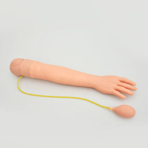 BRAZO DE ADULTO PARA INYECCIÓN ARTERIAL - Imagen 4