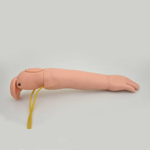 SIMULADOR PEDIÁTRICO AVANZADO PARA EXTRACCIÓN DE SANGRE - Imagen 2