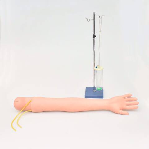 BRAZO DE ENTRENAMIENTO PARA INYECCIÓN INTRAVENOSA Y DEL DELTOIDES. - Imagen 2
