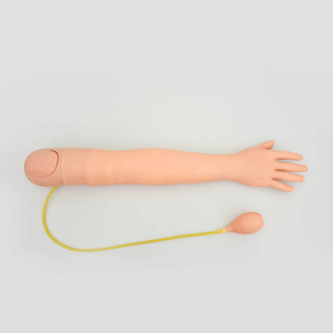 BRAZO DE ADULTO PARA INYECCIÓN ARTERIAL - Imagen 2