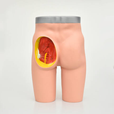 SIMULADOR AVANZADO DE INYECCIÓN INTRAMUSCULAR DE GLÚTEO - Imagen 3