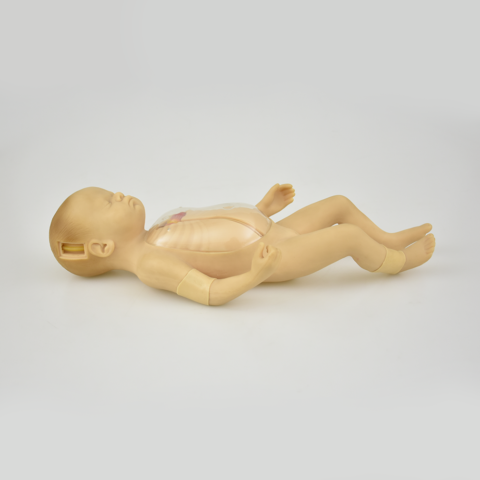 SIMULADOR AVANZADO NEONATAL DE INTUBACIÓN VENOSA CENTRAL Y PERIFÉRICA - Imagen 3