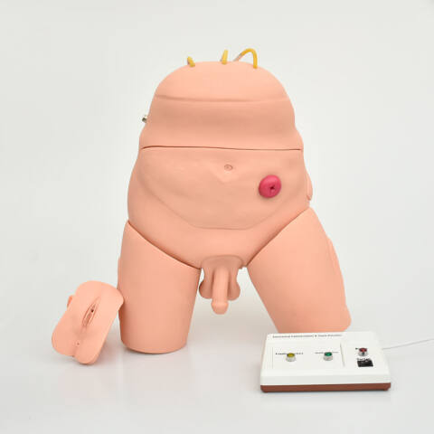 SIMULADOR ELECTRÓNICO DE ENTRENAMIENTO DE CATETERISMO Y ENEMA, BISEXUAL - Imagen 4