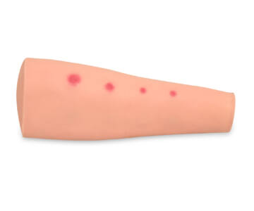 BRAZO DE ENTRENAMIENTO PARA INYECCIÓN INTRADÉRMICA