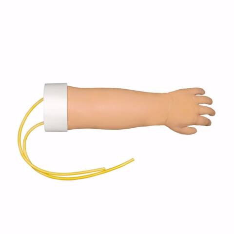 BRAZO INFANTIL PARA VENOPUNCIÓN