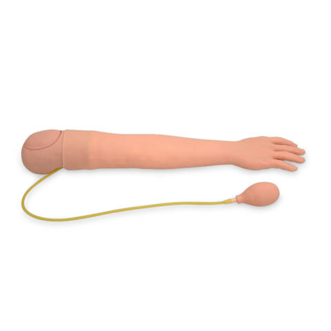 BRAZO DE ADULTO PARA INYECCIÓN ARTERIAL