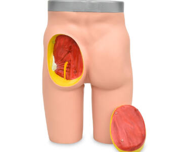 SIMULADOR AVANZADO DE INYECCIÓN INTRAMUSCULAR DE GLÚTEO