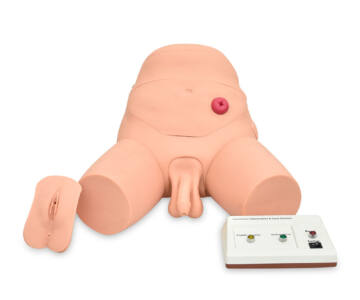 SIMULADOR ELECTRÓNICO DE ENTRENAMIENTO DE CATETERISMO Y ENEMA, BISEXUAL