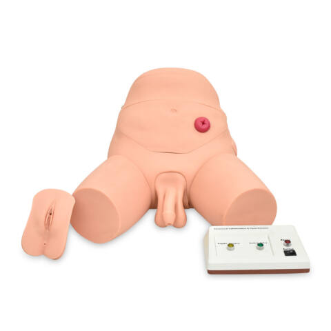 SIMULADOR ELECTRÓNICO DE ENTRENAMIENTO DE CATETERISMO Y ENEMA, BISEXUAL