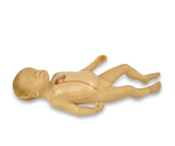 SIMULADOR AVANZADO NEONATAL DE INTUBACIÓN VENOSA CENTRAL Y PERIFÉRICA