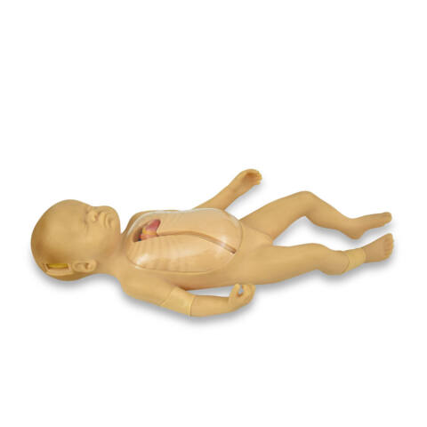 SIMULADOR AVANZADO NEONATAL DE INTUBACIÓN VENOSA CENTRAL Y PERIFÉRICA