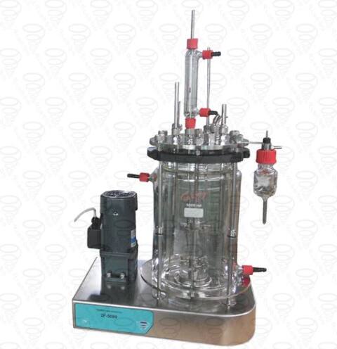 Fermentador con agitacion magnetica 2F. Varios modelos.