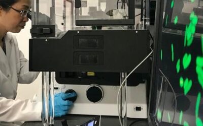 La investigación en nano seguridad sin experimentos con animales