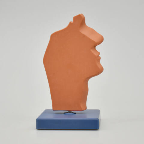 CAVIDAD NASAL, CAVIDAD ORAL, GARGANTA Y FARINGE - Imagen 3
