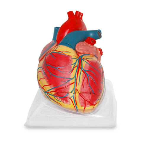 CORAZÓN GIGANTE DE LUJO