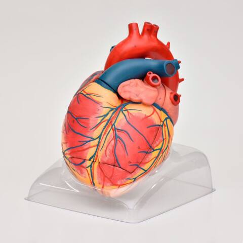 CORAZÓN GIGANTE DE LUJO - Imagen 3