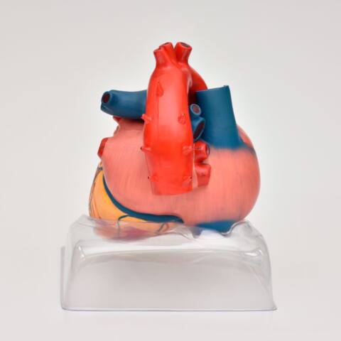 CORAZÓN GIGANTE DE LUJO - Imagen 4