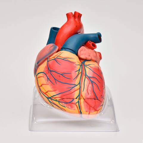 CORAZÓN GIGANTE DE LUJO - Imagen 2