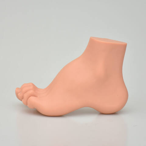 MODELO DE PIES - Imagen 3