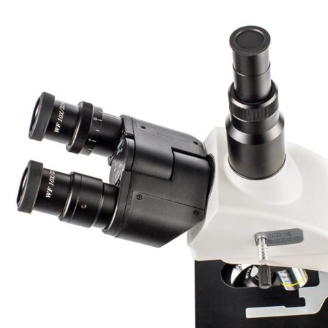 Microscopio biológico profesional. Modelo VE-B15 - Imagen 4