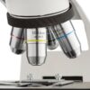Microscopio Biológico Profesional. Modelo VE-B5 - Imagen 2
