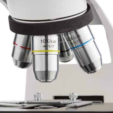 Microscopio Biológico Profesional. Modelo VE-B5 - Imagen 2