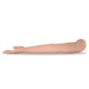 BRAZO DE ENTRENAMIENTO PARA INYECCION INTRAVENOSA Y DELTOIDES - Imagen 2