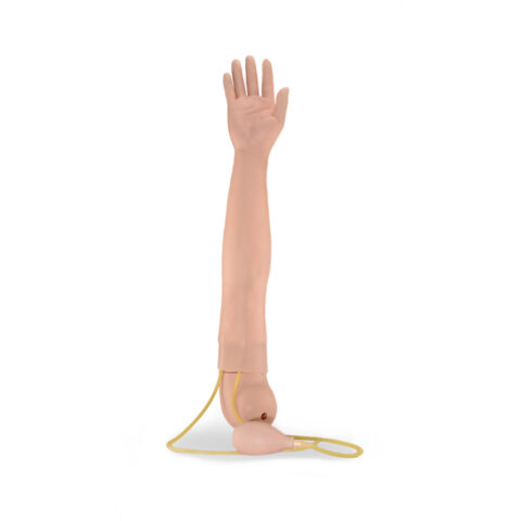 BRAZO DE ENTRENAMIENTO PARA INYECCION INTRAVENOSA Y DELTOIDES - Imagen 3