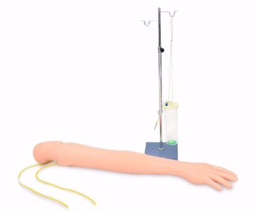BRAZO DE ENTRENAMIENTO PARA INYECCION INTRAVENOSA Y DELTOIDES
