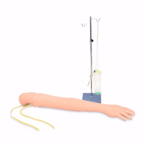 BRAZO DE ENTRENAMIENTO PARA INYECCION INTRAVENOSA Y DELTOIDES